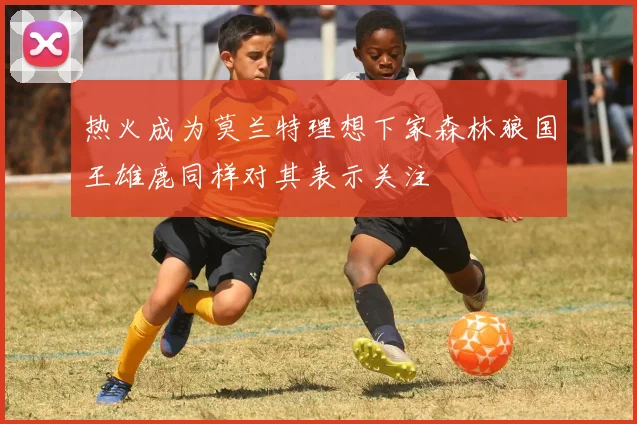 热火成为莫兰特理想下家森林狼国王雄鹿同样对其表示关注